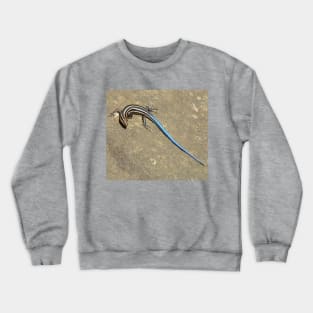 Blue Tailed Lizard 2 Crewneck Sweatshirt